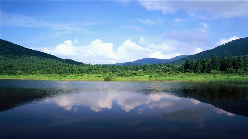 Međunarodna unija za zaštitu prirode: Izumiranje prijetnja za više od milion vrsta