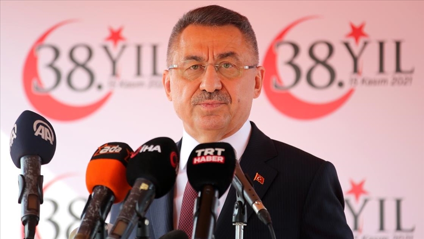 Cumhurbaşkanı Yardımcısı Oktay: Doğu Akdeniz'de macera arayan cevabını alır