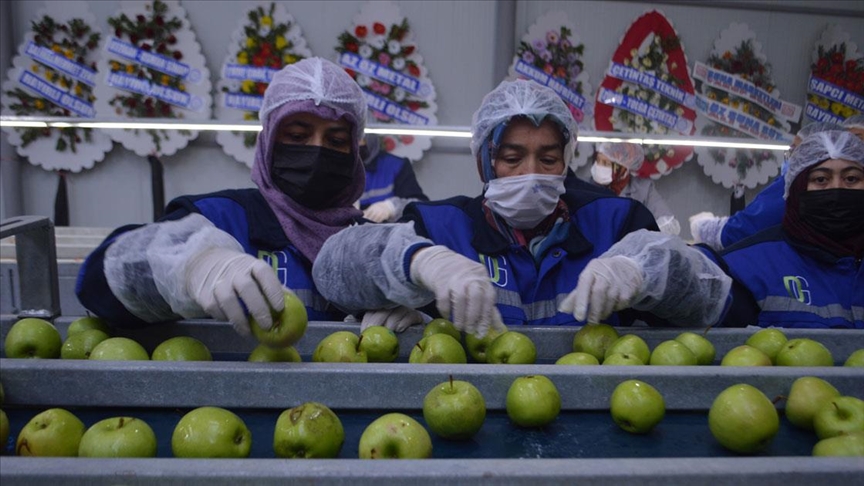 15 bin nüfuslu ilçeden 60 ülkeye kurutulmuş meyve ve sebze ihracatı