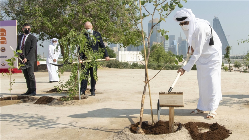 أمير قطر يدشن أول متحف للأطفال في بلاده بغرس شجرة سدر
