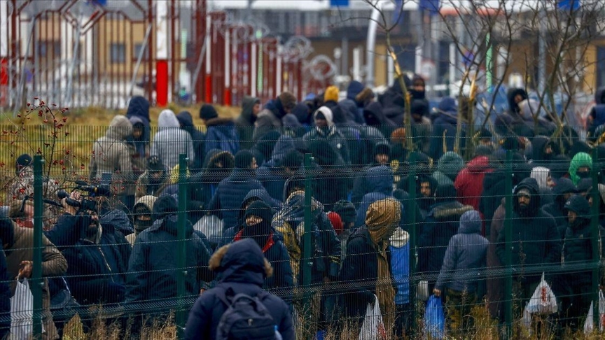 Польские силовики задержали около 100 мигрантов на границе с Беларусью