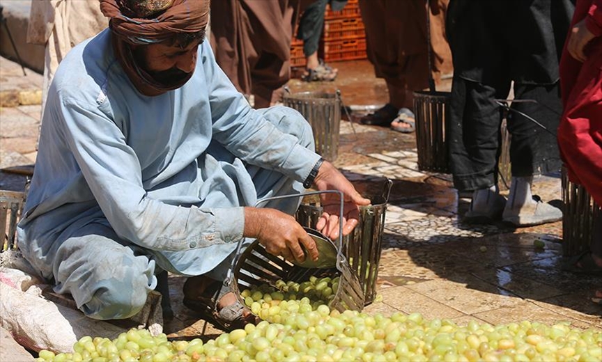 ONU: 18,8 millones de personas se enfrentan a inseguridad alimentaria aguda en Afganistán