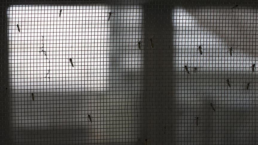 Zika virus, a new challenge for India’s most populous state