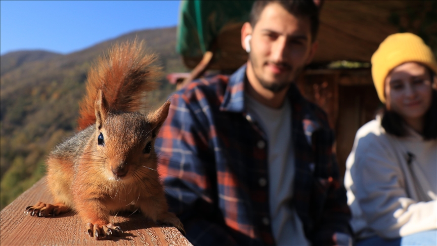 Turkish couple take in squirrel as new member of family