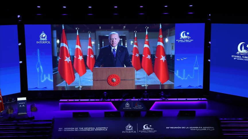 أردوغان: ننتظر من الإنتربول تعاونًا لإعادة الإرهابيين المطلوبين 