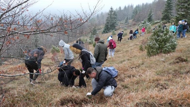 Sarajevo: Dan državnosti BiH obilježen centralnom akcijom masovnog pošumljavanja Igmana