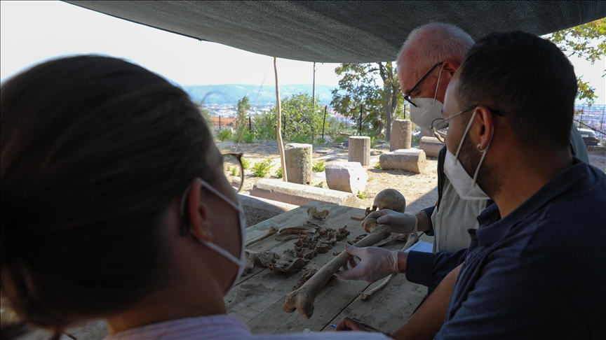 Residents of ancient city of Pergamon had plant-based diet: Scientists