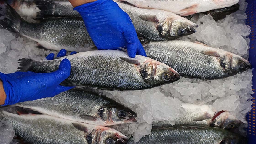Doğa ve kültür balıklarının besin değerlerini karşılaştıran rapor açıklandı