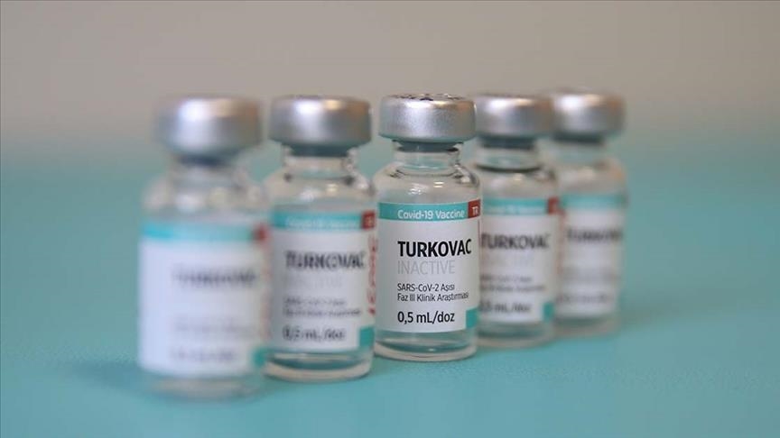 Turkey's domestically developed COVID vaccine seeks emergency approval