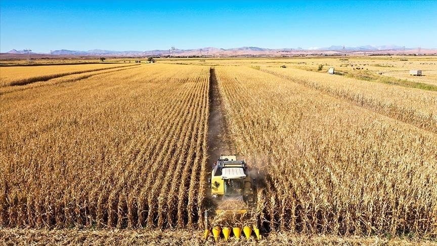 'Agriculture, forest, water become more important than ever before'