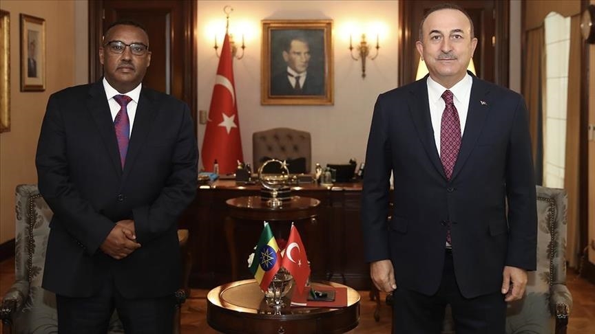 Главы МИД Турции и Эфиопии обсудили конфликт в Тыграе 