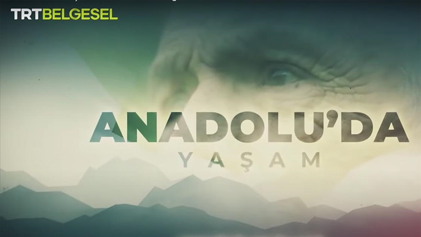 Trt Belgesel In Sevilen Yapimlari Yeni Bolumleriyle Hafta Sonu Seyirciyle Bulusacak