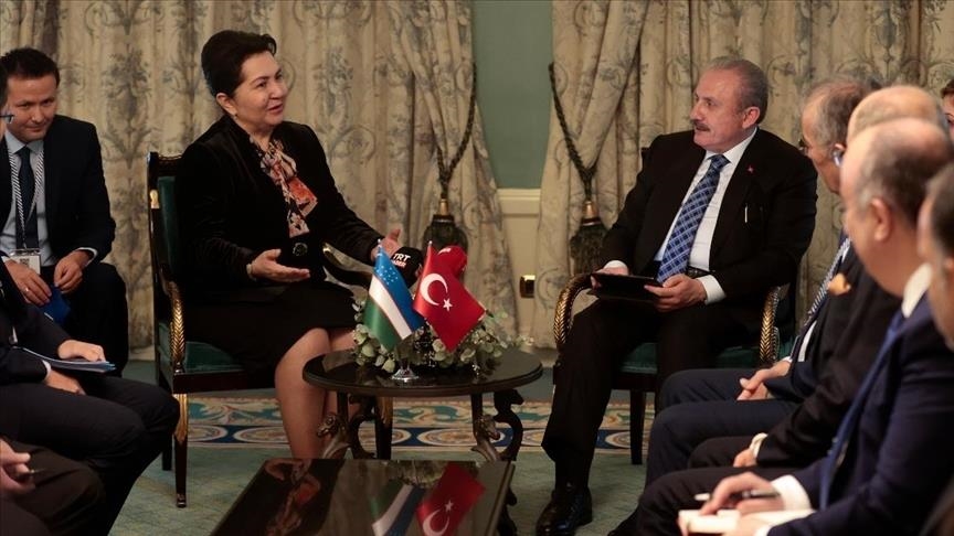 دیدار روسای مجلس ترکیه و آذربایجان در مادرید