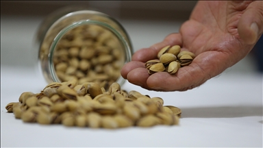 Экспорт фисташек из Турции за 10 месяцев превысил показатели за весь 2020 год