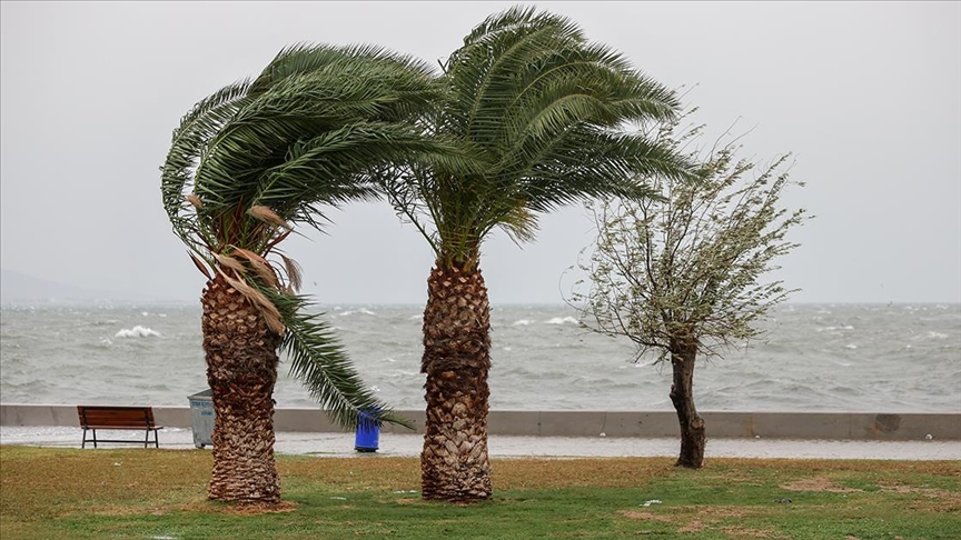 İzmir'de fırtına nedeniyle 33 ağaç devrildi