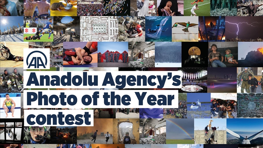 Voting to start in Anadolu Agency photo contest on Wednesday