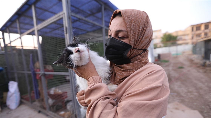 Savaş yorgunu kentte şiddet mağduru sokak hayvanlarına anne şefkatiyle bakıyor