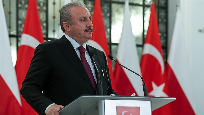 TBMM Başkanı Şentop'tan Polonya Meclis Başkanı Elzbieta Witek ile görüşmesinde terörle mücadelede işbirliği çağrısı