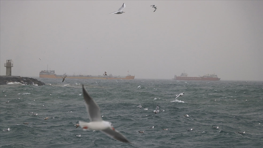 Marmarada 2 gündür lodos nedeniyle aksayan deniz ulaşımı normale döndü