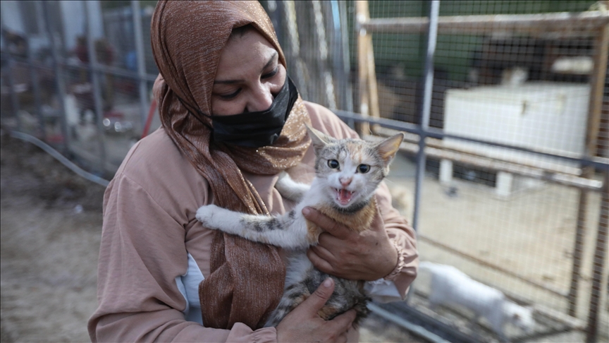 أم عبودي.. سيدة عراقية ترعى الحيوانات المعنّفة في بغداد