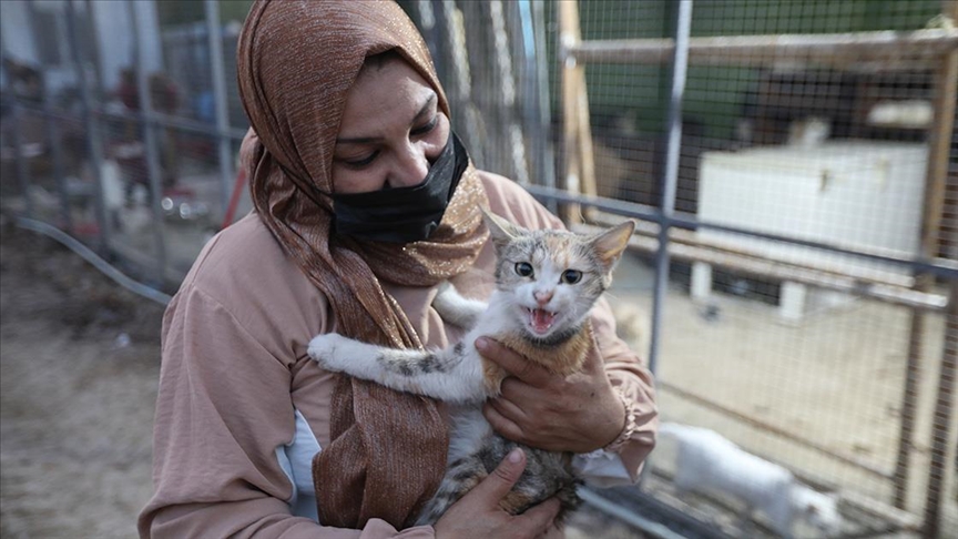 Iračanka samostalno napravila azil i brine o psima i mačkama stradalim u ratu