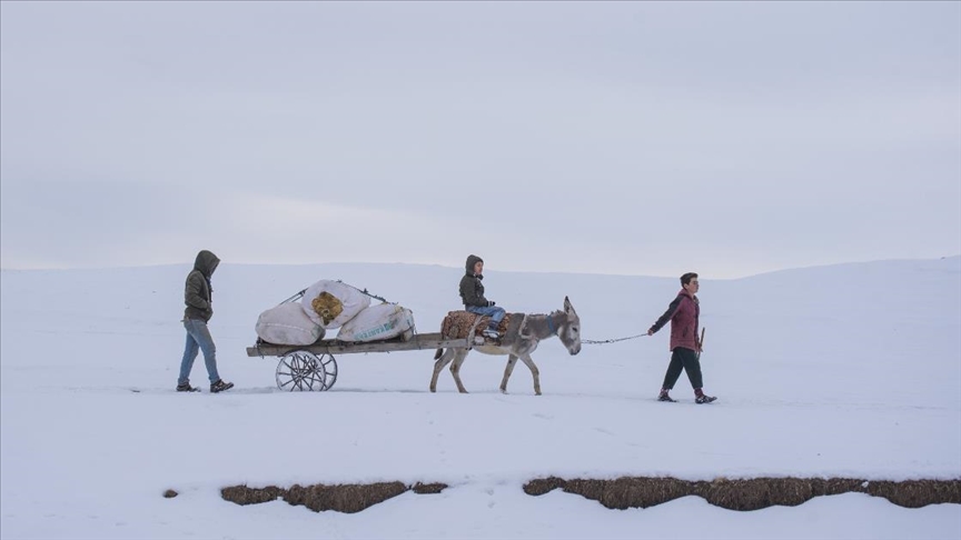 Doğu Anadolu'da soğuk hava nedeniyle dere, nehir ve şadırvanlar buz tuttu