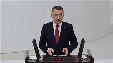 Turkey's economy expected to grow by 5% in 2022: Vice president
