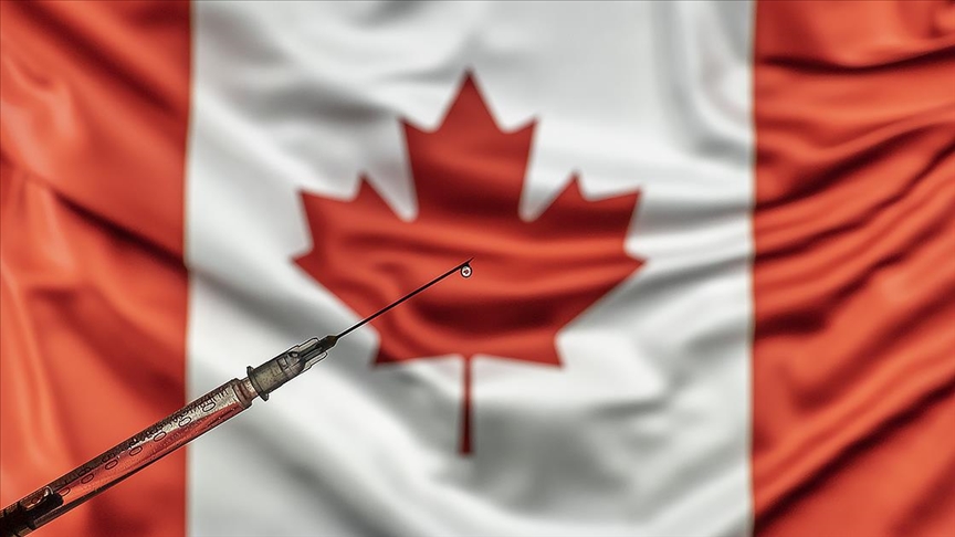 Dünyanın ilk bitki bazlı Kovid-19 aşısı Kanada'da üretildi