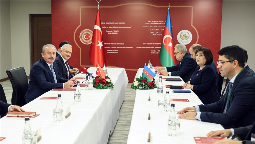 دیدار روسای مجلس ترکیه و آذربایجان در استانبول
