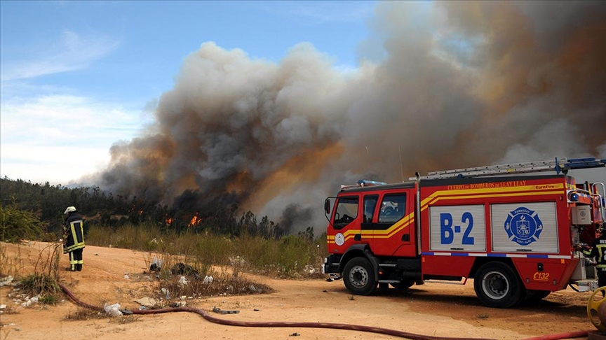Şilinin güneyindeki orman yangınında 100 ev yok oldu