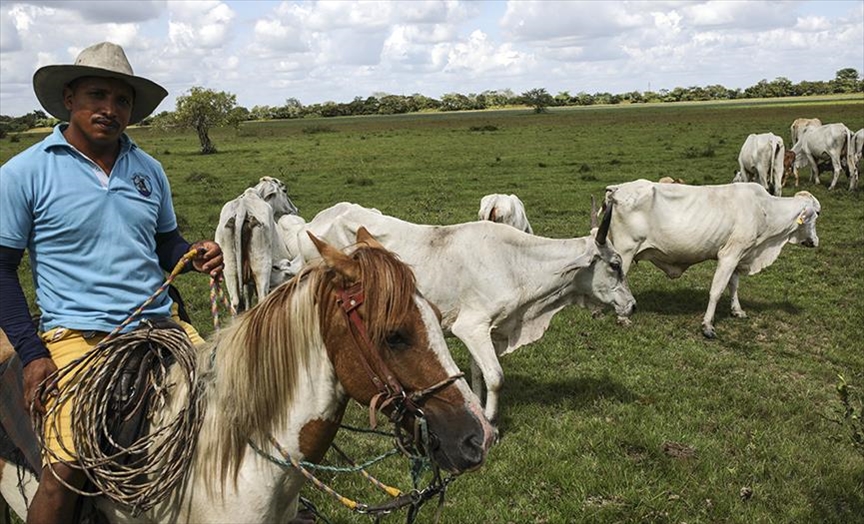 El departamento de Arauca, en Colombia, una tierra con aroma a cacao y naturaleza