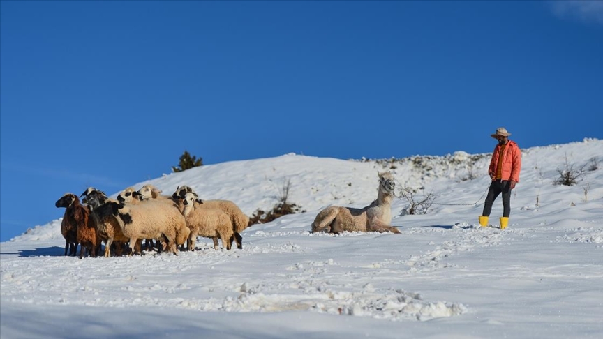 Tuncelinin köylerinde zorlu kış şartları hayatı olumsuz etkiliyor