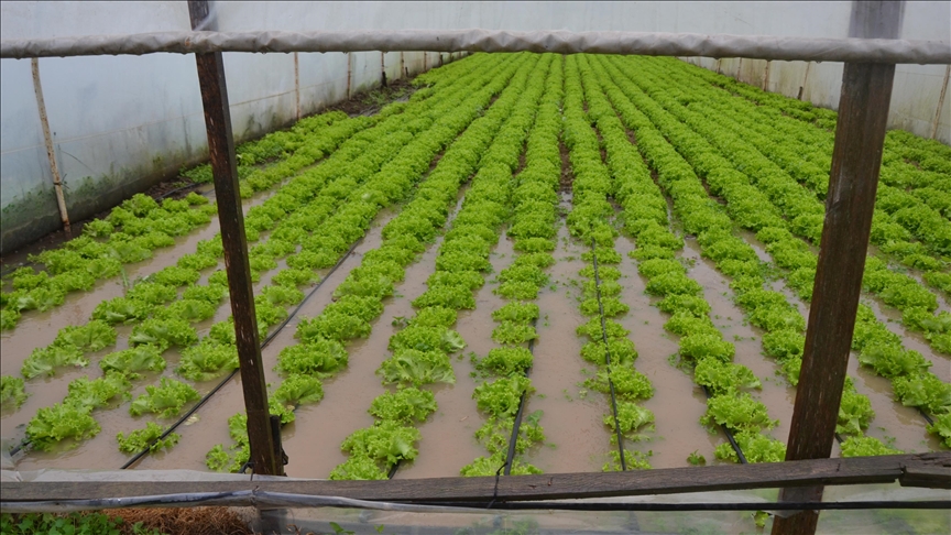 Çanakkalede şiddetli yağış nedeniyle tarım alanlarını su bastı