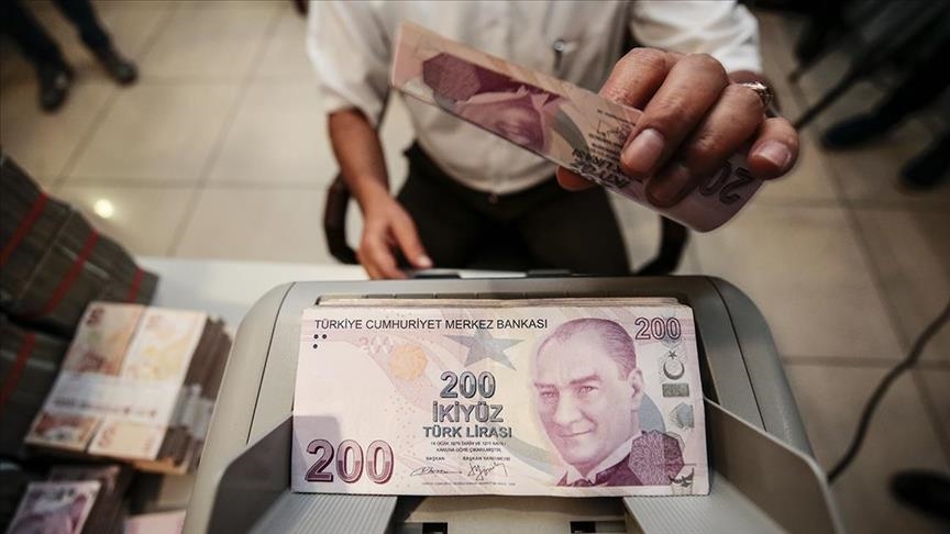Turkeys budget balance sees $2.1B surplus in November