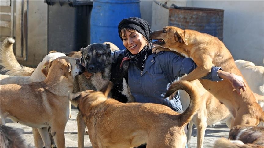 Iranian motorbike racer cares for 150 crippled, stray dogs