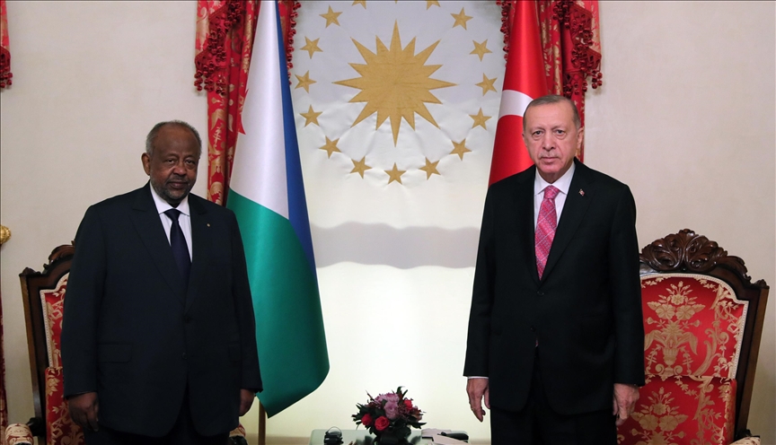 دیدار روسای جمهور ترکیه و جیبوتی در استانبول
