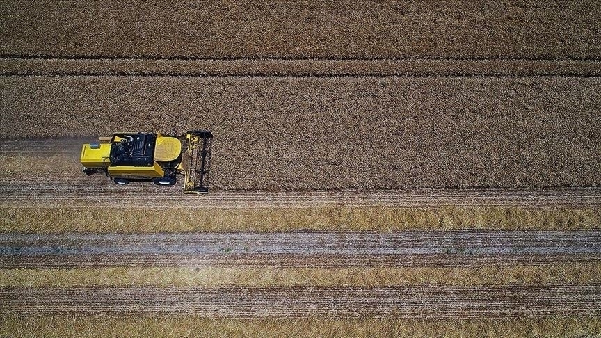 Tarımsal girdi fiyat endeksi ekimde yıllık yüzde 29,58, aylık yüzde 4,17 arttı