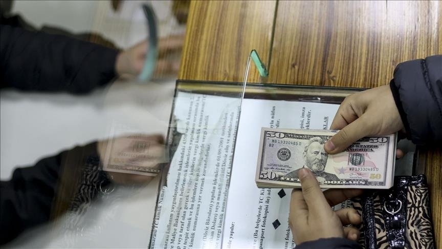 UPDATE - Dolar izgubio vrijednost u odnosu na tursku liru za 40 posto