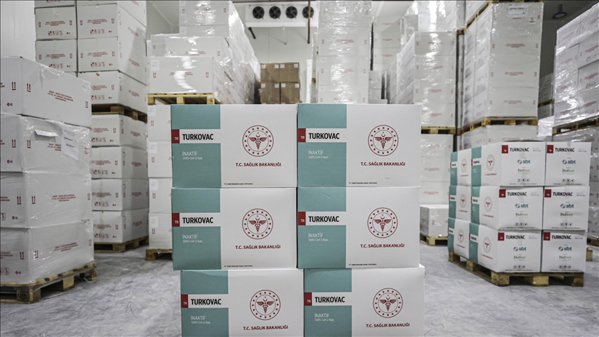 Первая партия турецкой вакцины TURKOVAC доставлена в Анкару
