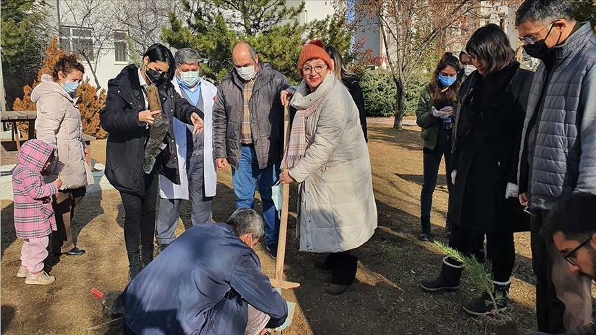 H.Ü Eğitim Fakültesi öğrencileri ve akademisyenleri 'sürdürülebilir kampüs' için ağaç dikti