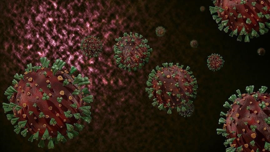 Niger sees 1st case of omicron coronavirus variant 