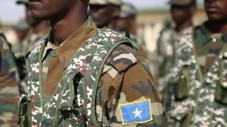 Somalias military, spy, police chiefs seek to steer clear of political row