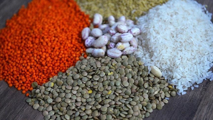 Годовой экспорт зернобобовых и масличных культур из Турции составил почти $9,2 млрд