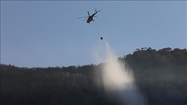 Orman yangınlarıyla mücadele edecek 'hava gücü' için ihale süreci başlatıldı
