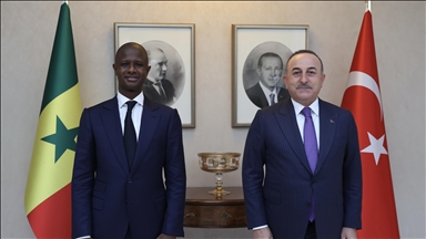Turquie: Cavusoglu rencontre le ministre sénégalais de l'Intérieur