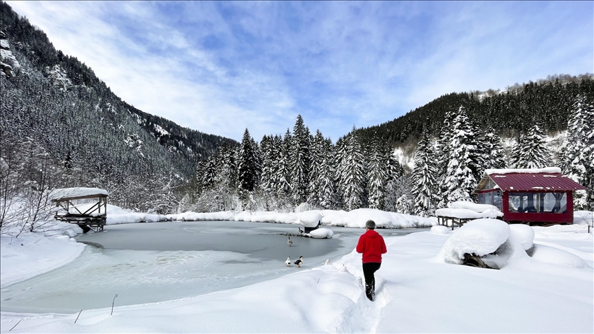 Национальный парк «Горы Качкар» в Турции накрыло снегом