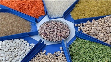 Nilai ekspor produk pertanian Turki cetak rekor pada 2021