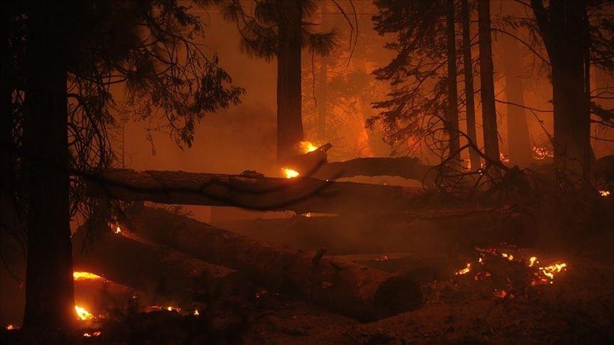 Wildfire in Colorado causes over $513M in damage