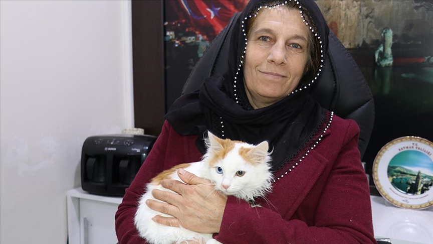 Batmanlı Fatma Türkkan mahallesinin yanı sıra sokak kedilerinin de 'muhtarlığını' yapıyor 