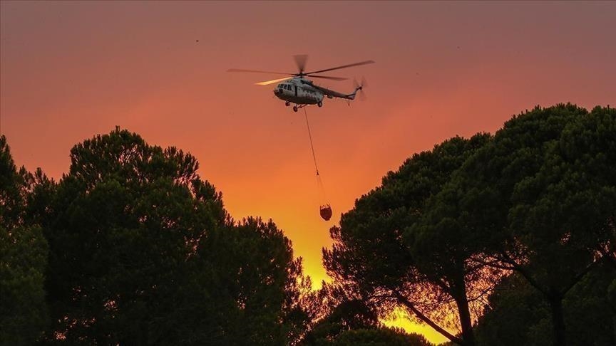 Etats-Unis: la valeur des dégâts des feux de forêt au Colorado dépasse le demi-milliard de dollars